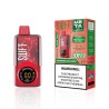 SWFT META DISPOSABLE 30,000 PUFFS 24ML